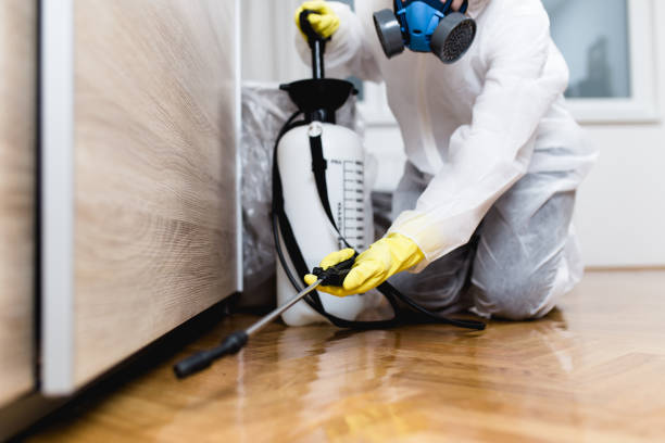 Best Pest Control Near Me  in Norman Park, GA