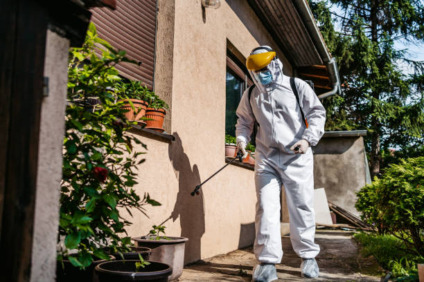 Best Best Pest Control Near Me  in Norman Park, GA