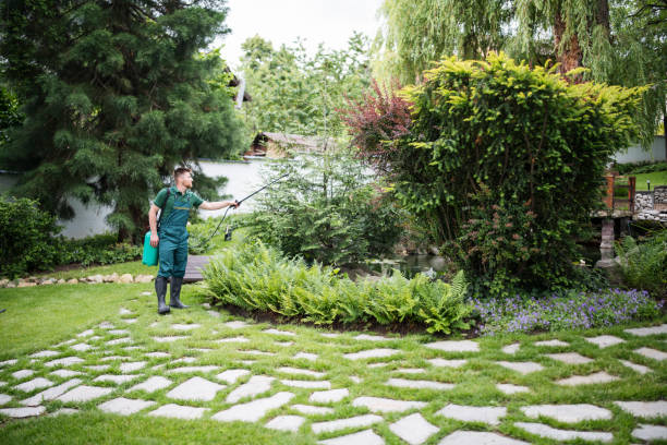Professional Pest Control in Norman Park, GA