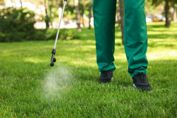 Best Pest Control Treatment  in Norman Park, GA