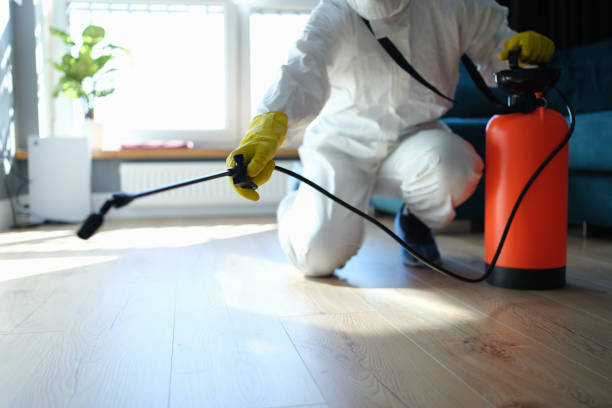 Best Mosquito Control Services  in Norman Park, GA