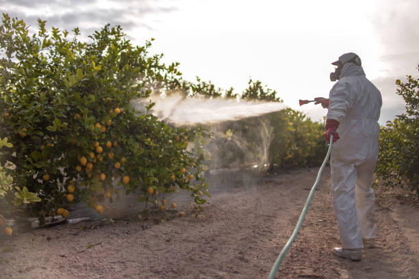 Best Pest Inspection Near Me  in Norman Park, GA