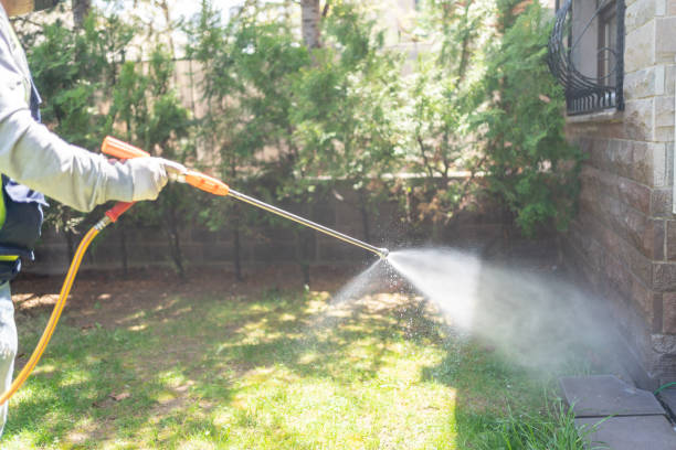 Best Bird Control  in Norman Park, GA