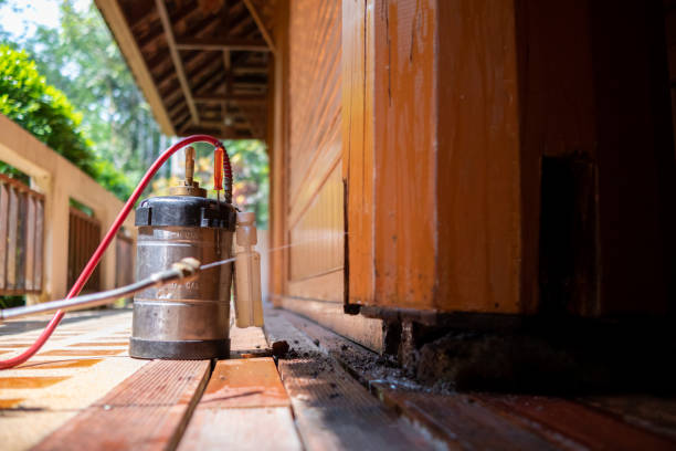 Best Cockroach Control Services  in Norman Park, GA
