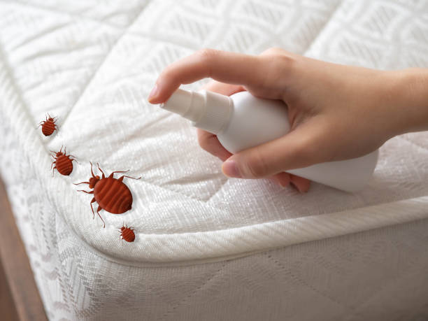 Best Exterminator Services  in Norman Park, GA