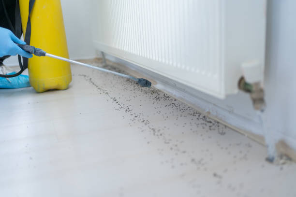Best Cockroach Control Services  in Norman Park, GA