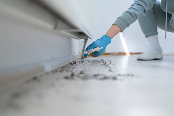 Professional Pest Control in Norman Park, GA